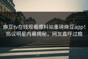 麻豆tv在线观看爆料站重磅麻豆app！热议明星内幕揭秘，网友直呼过瘾