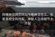 网曝麻豆网页网站今晚麻豆吃瓜，反差真相全网炸裂，神秘人丑闻细节太炸裂