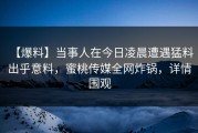 【爆料】当事人在今日凌晨遭遇猛料 出乎意料，蜜桃传媒全网炸锅，详情围观