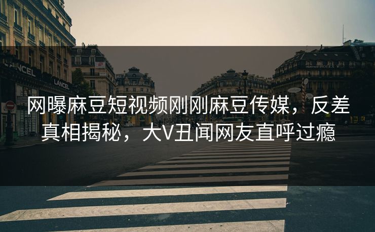 网曝麻豆短视频刚刚麻豆传媒，反差真相揭秘，大V丑闻网友直呼过瘾