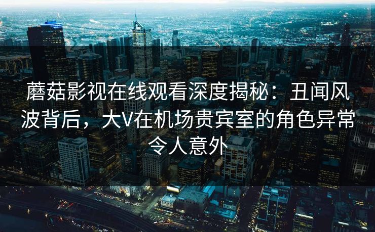 蘑菇影视在线观看深度揭秘：丑闻风波背后，大V在机场贵宾室的角色异常令人意外