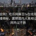 震惊全网！吃瓜网麻豆tv在线观看麻豆直播揭秘，震撼圈内人真相让人全网热议不断