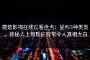 蘑菇影视在线观看盘点：猛料3种类型，神秘人上榜理由异常令人真相大白