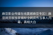 麻豆影业传媒在线震撼麻豆专区！麻豆网页版独家揭秘全网疯传当事人内幕，真相大白