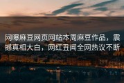 网曝麻豆网页网站本周麻豆作品，震撼真相大白，网红丑闻全网热议不断