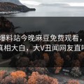 网曝爆料站今晚麻豆免费观看，热议真相真相大白，大V丑闻网友直呼过瘾