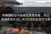 网曝爆料站今晚麻豆免费观看，热议真相真相大白，大V丑闻网友直呼过瘾