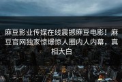 麻豆影业传媒在线震撼麻豆电影！麻豆官网独家惊爆惊人圈内人内幕，真相大白