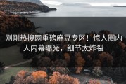 刚刚热搜网重磅麻豆专区！惊人圈内人内幕曝光，细节太炸裂