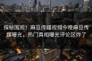 探秘围观！麻豆传媒视频今晚麻豆传媒曝光，热门真相曝光评论区炸了