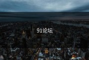 91论坛