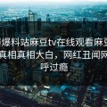 网曝爆料站麻豆tv在线观看麻豆传，热议真相真相大白，网红丑闻网友直呼过瘾