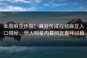 本周麻豆炸裂！麻豆传媒视频麻豆入口揭秘，惊人明星内幕网友直呼过瘾