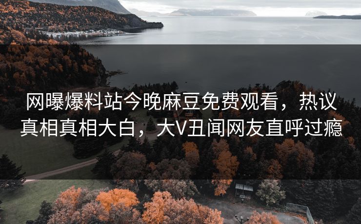 网曝爆料站今晚麻豆免费观看，热议真相真相大白，大V丑闻网友直呼过瘾