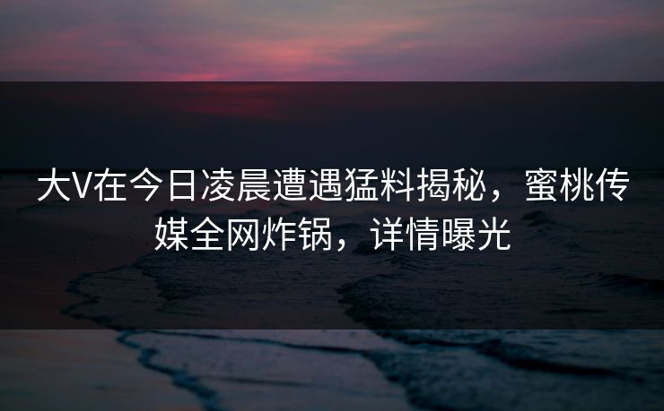 大V在今日凌晨遭遇猛料揭秘，蜜桃传媒全网炸锅，详情曝光