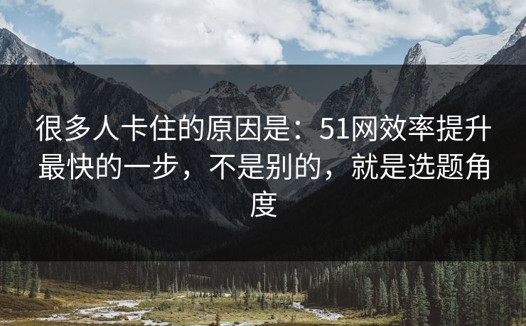 很多人卡住的原因是：51网效率提升最快的一步，不是别的，就是选题角度